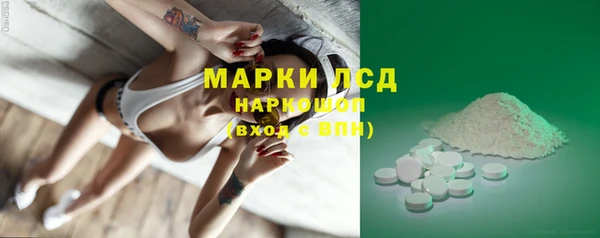 apvp Алзамай