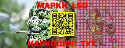 apvp Гатчина