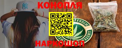 ECSTASY Гай