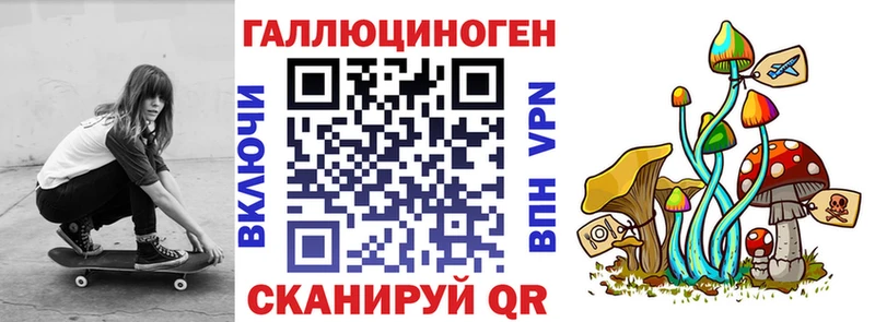 купить Моздок Галлюциногенные грибы мухоморы