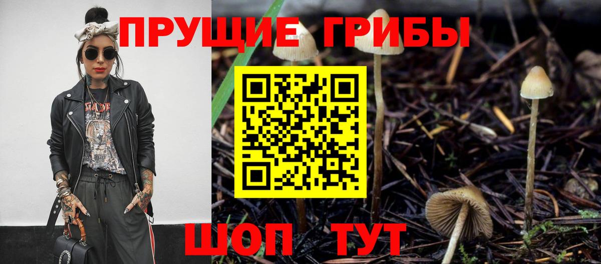 Галлюциногенные грибы мухоморы Моздок